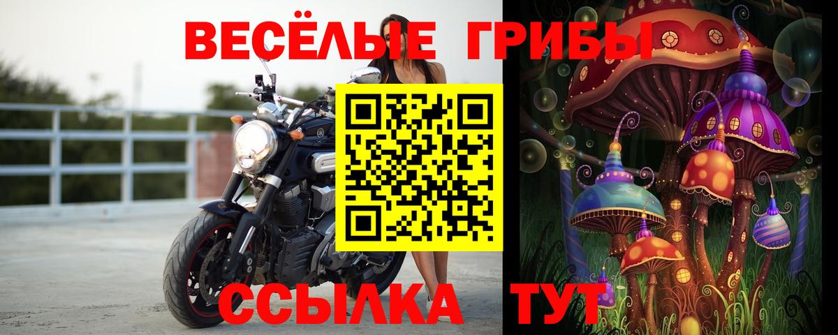 Галлюциногенные грибы GOLDEN TEACHER Орёл
